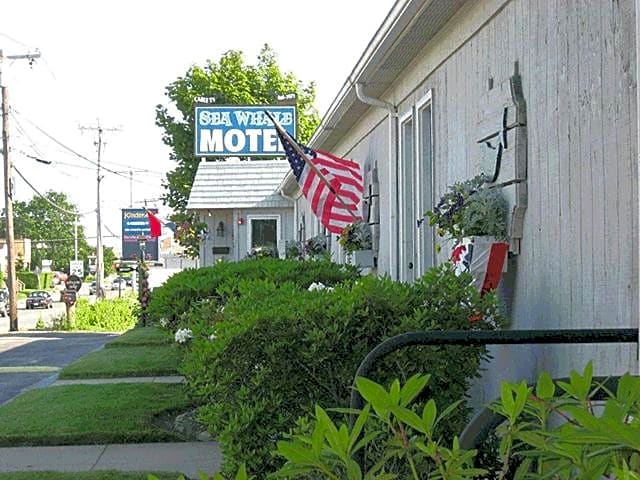 Sea Whale Motel