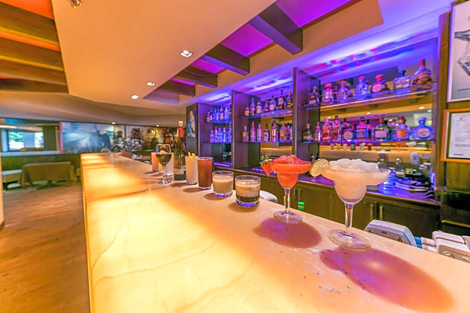 Holiday Inn Guadalajara Expo By IHG