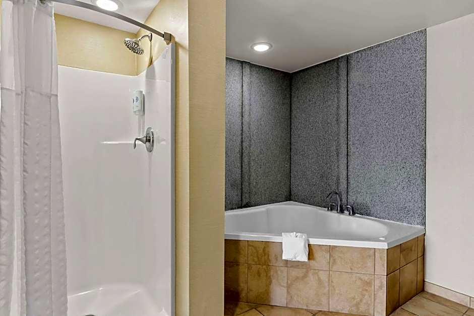 Comfort Suites Salem-Roanoke I-81