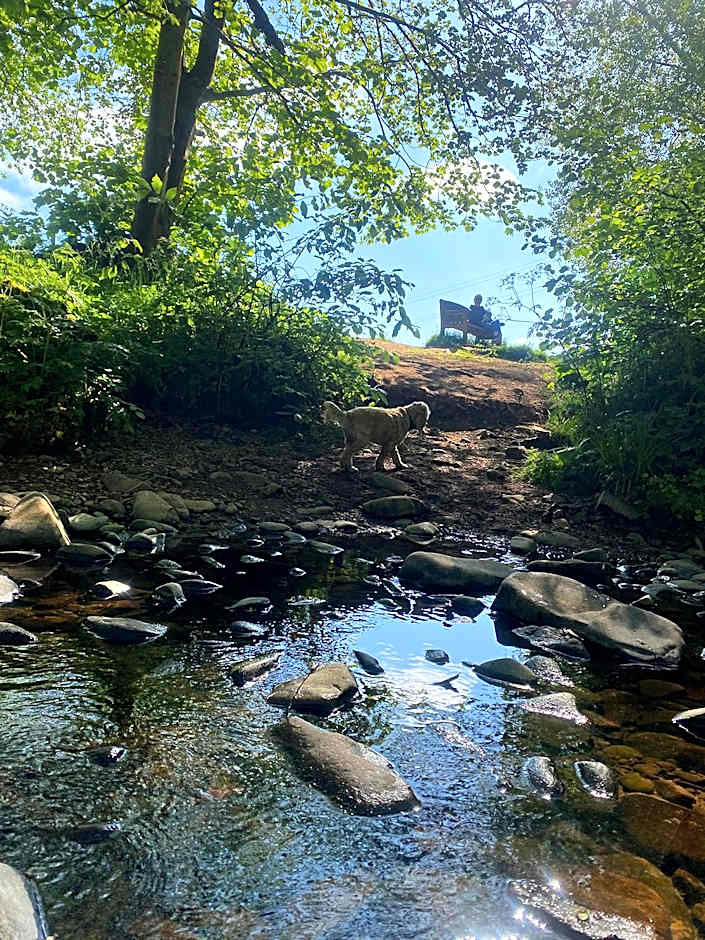 Red Lion, Coorie Inn