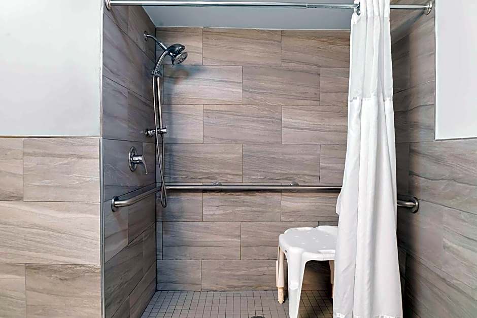 Best Western PLUS Flint Airport Inn & Suites