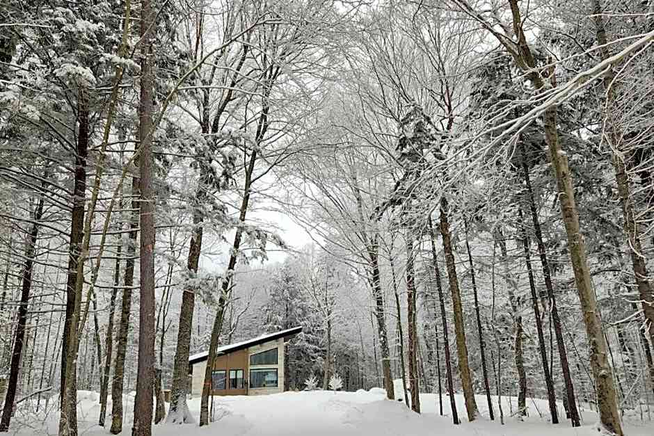 Chalet TERRE en harmonie avec la nature, Tremblant