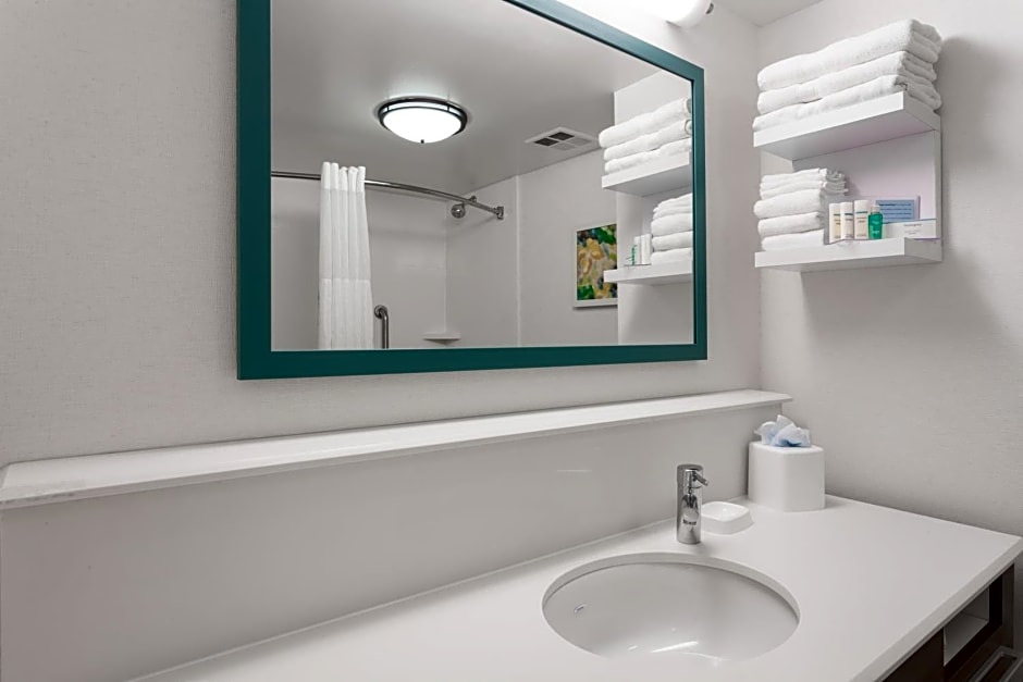 Hampton Inn Orlando-Convention Center International Drive Area