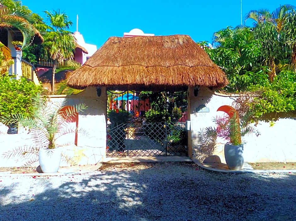 Casa Gatos