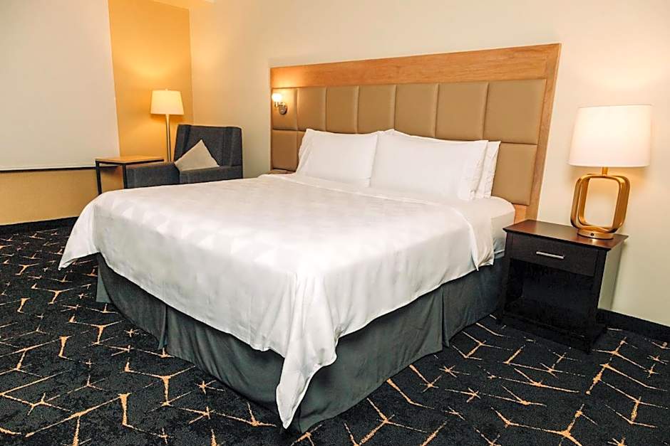 Holiday Inn San Salvador By IHG