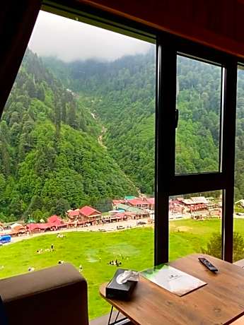 Standard Double Room with Waterfall View