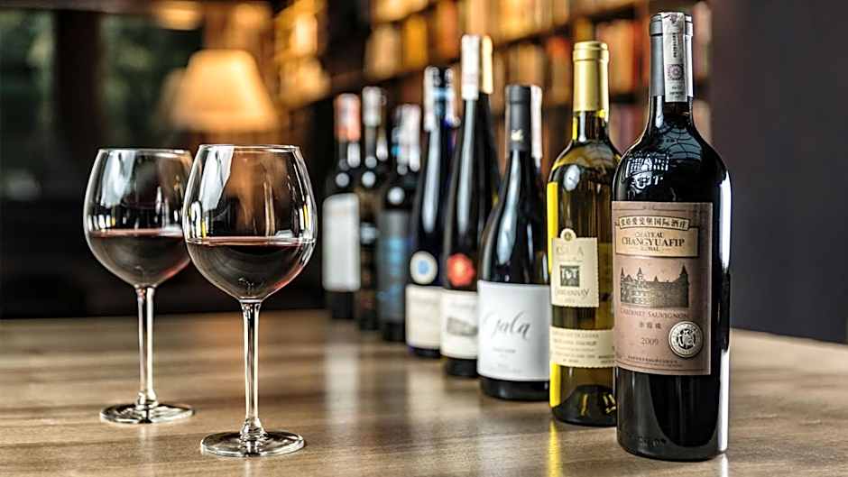 PRZYSTAŃ WYGONIN knéżka i wino