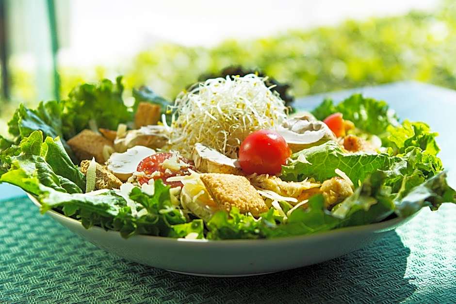 Hotel Villa Florida Puebla