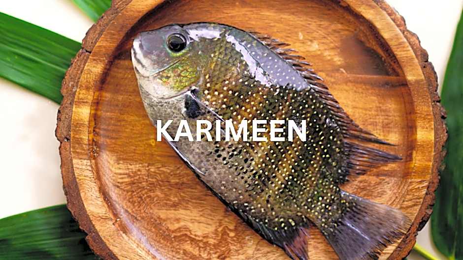 Dubai Hotel Kumarakom 