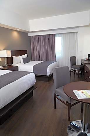 Standard Double Room with Two Double Beds