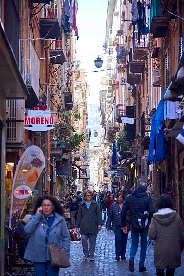 Authentic Neapolis in the hearth of the center