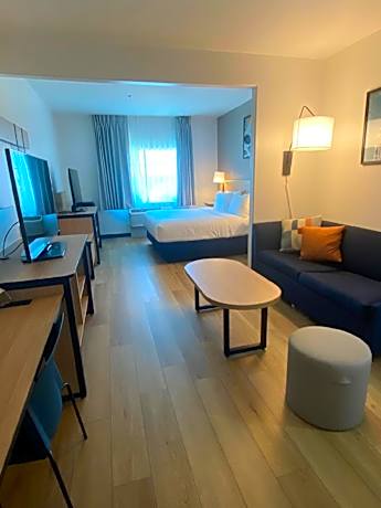 Guest room, 1 King, Sofa bed