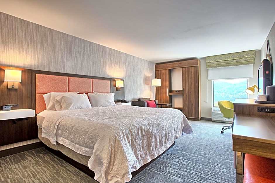 Hampton Inn By Hilton Williamsport