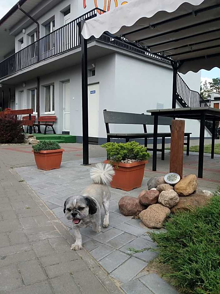 Domki i pokoje ,,Pod Palmami" w centrum