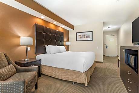 Accessible - 1 King  Non-Smoking Handicap Room Roll In Shower Pillowtop Bed Lcd Television Microwave