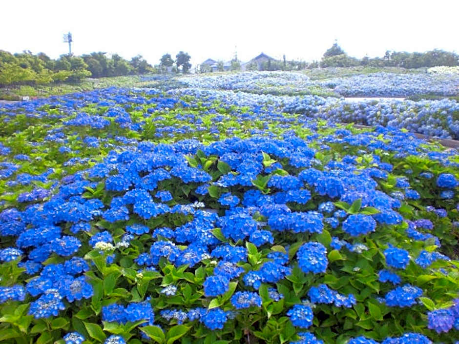Kuwana Park Hotel - Vacation STAY 66862v