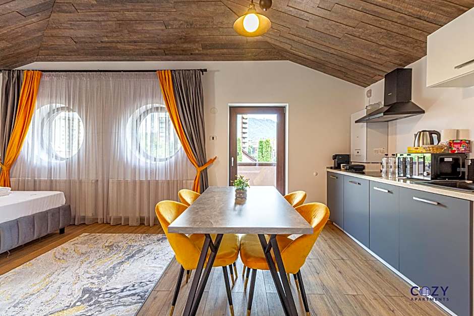 Unique and Cozy ApartHotel in Brasov