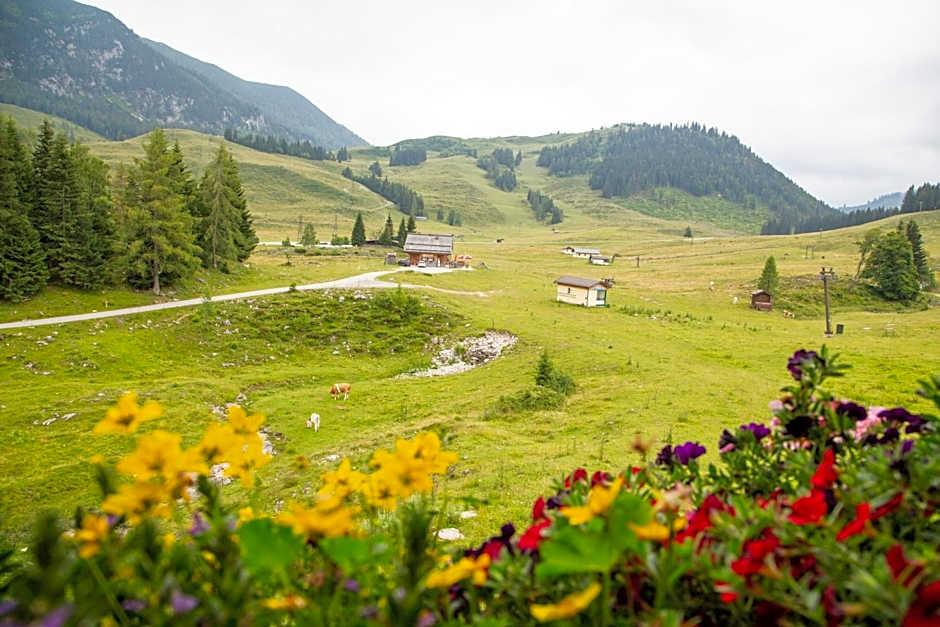 Almhaus Alpenrose Postalm