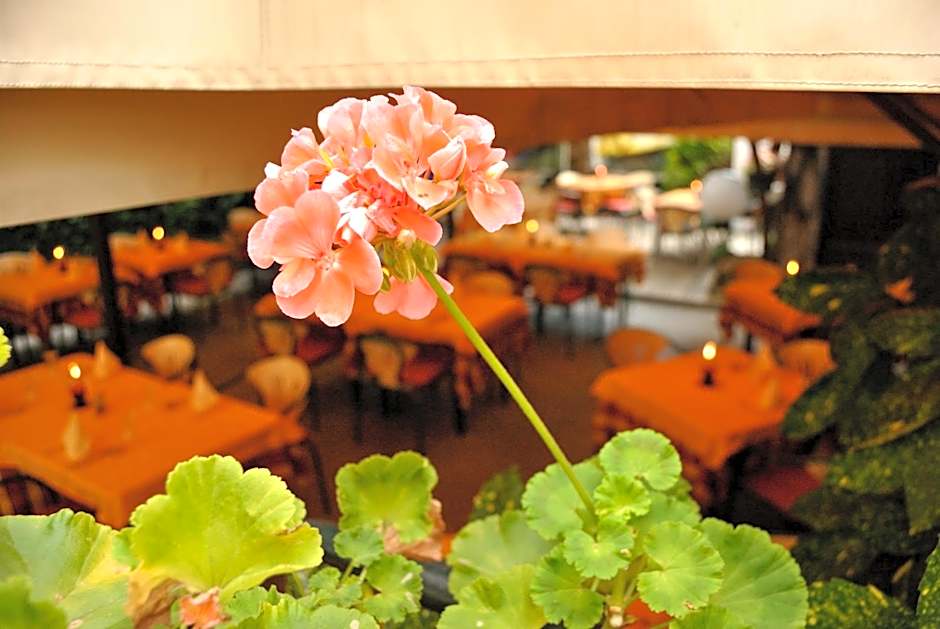 Hotel Fiorentino
