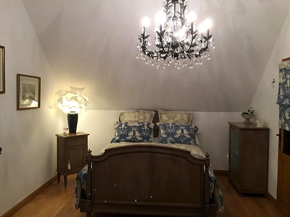 Les Prémices De La Forêt