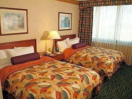Suite Double Bed