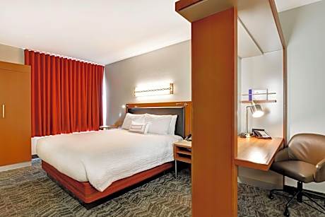 Executive Suite, 1 King Bed with Sofa bed (1 King Bed and 1 Double Sofa Bed)