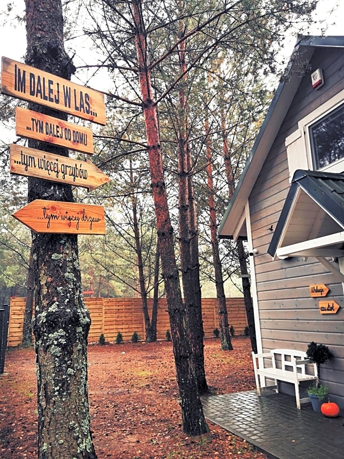 Domki Między Drzewami