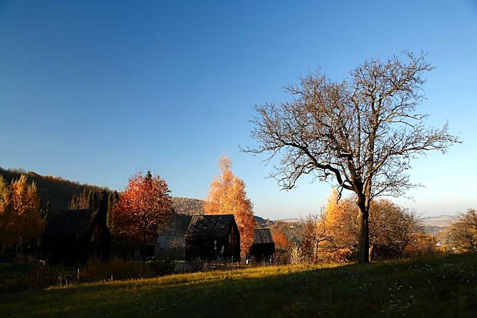 PORTAL Village Only Adults