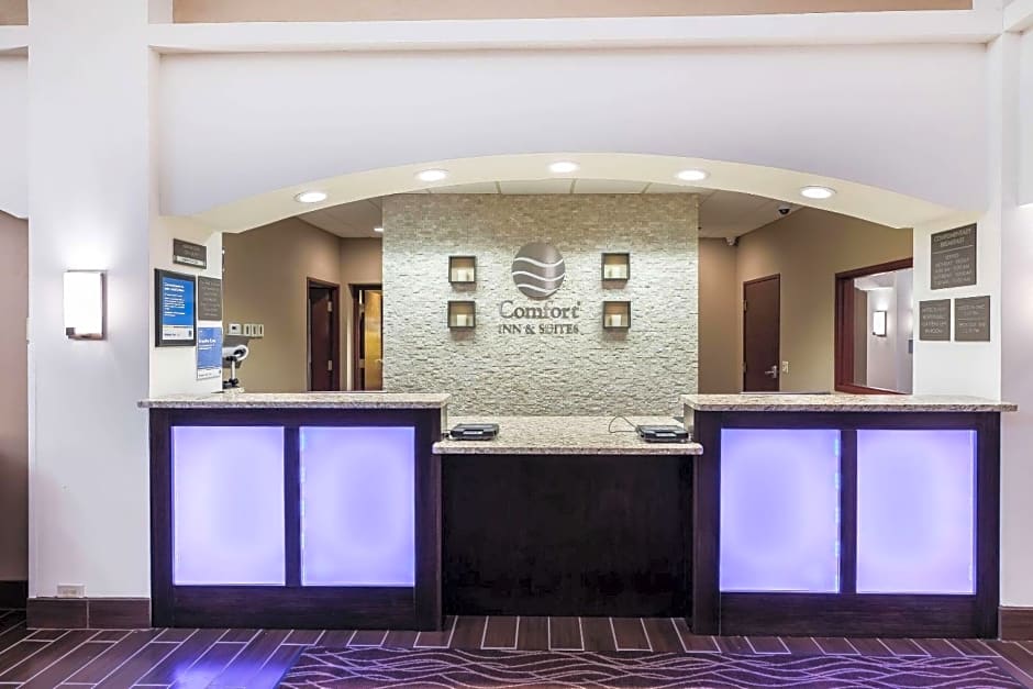 Comfort Inn & Suites Allen Park - Dearborn