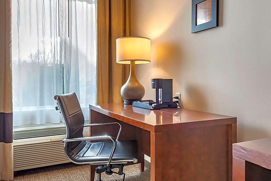 Comfort Inn Apalachin / Binghamton W Route 17