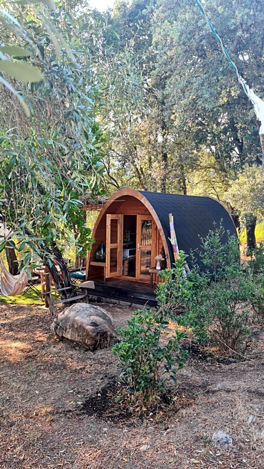 Gîte atypique Le Pod au coeur du maquis