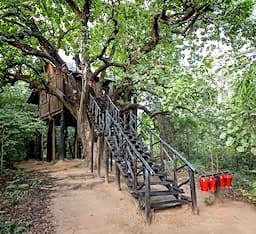 Pugdundee safaris - Tree House Hideaway