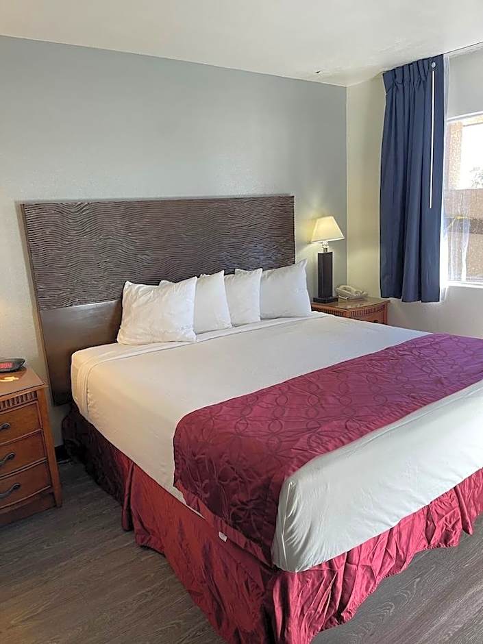Extended Suites Tempa