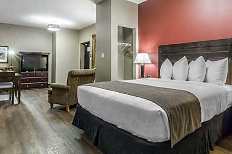 Efficiency Suite Queen Room - Pet Friendly