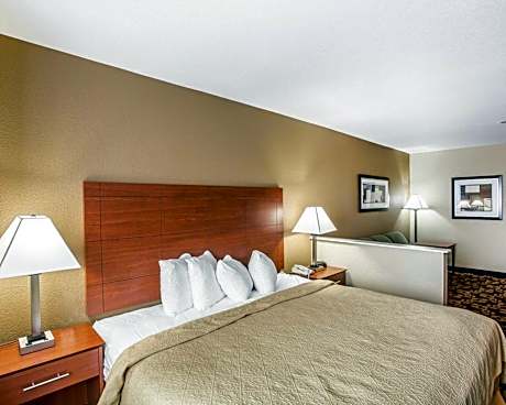 1 King Bed, Suite, Nonsmoking