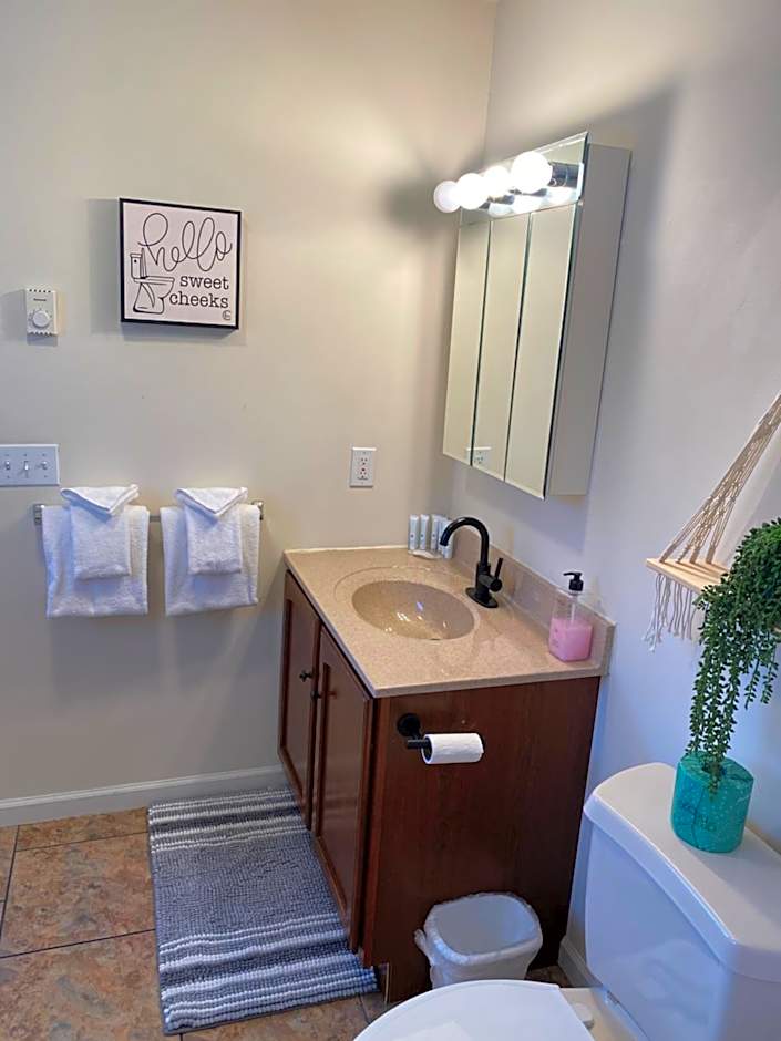 Amazing Mountain Views Lake Placid & 1980 Olympic Center