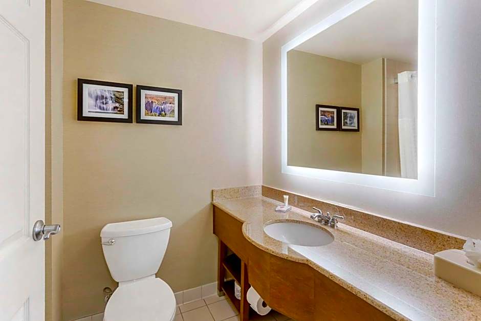 Comfort Inn & Suites Jerome