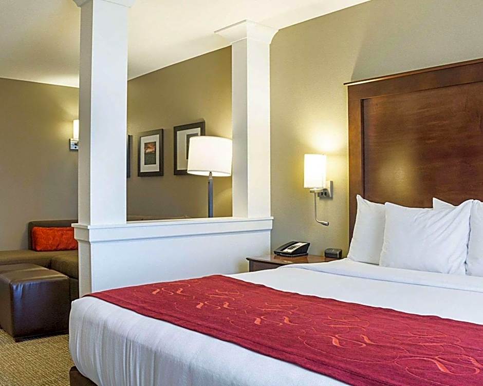 Photo 1 of 8 of 1 King Bed Suite