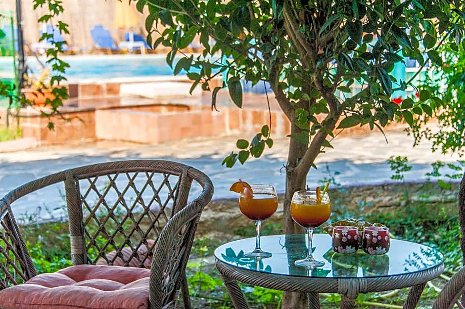 Zante Nest Studios & Apartments