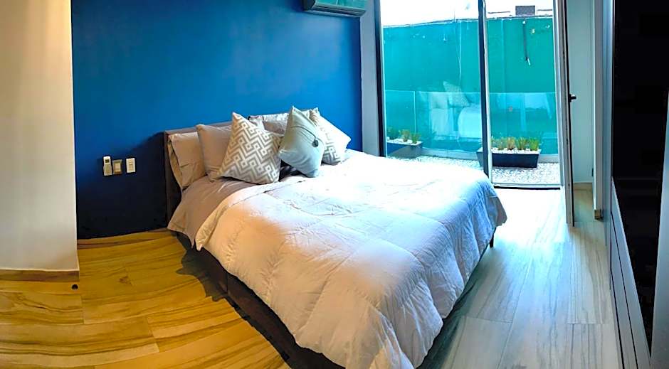 Departamento Zona Hotelera Polanco