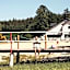 Płaczewo