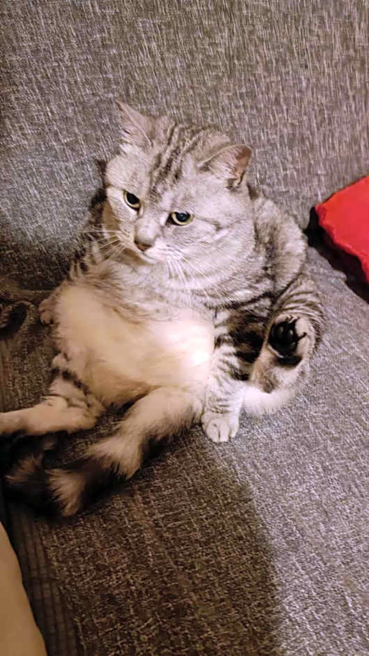 HOTEL PREMIERE CLASSE Rouen Sud Oissel