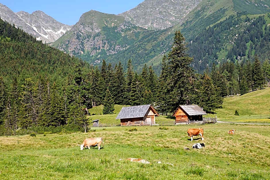 Alpenhotel & Aparthotel Lanz