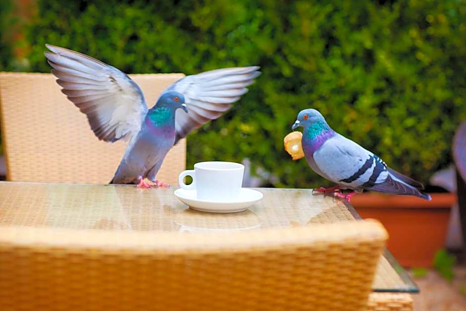 Hôtel restaurant Oasis