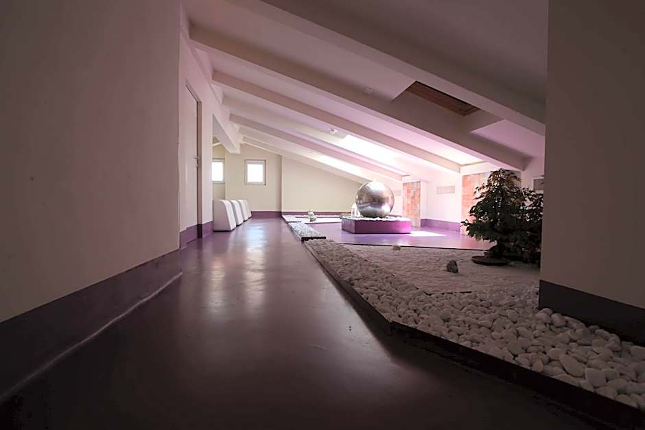 Hotel Milano & SPA***S
