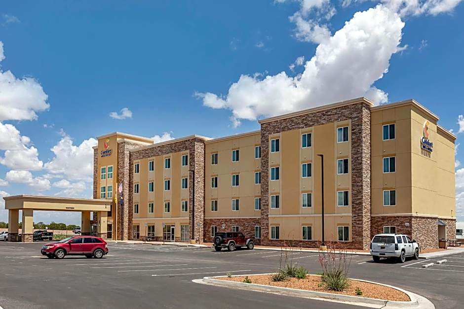 Comfort Inn & Suites Edgewood