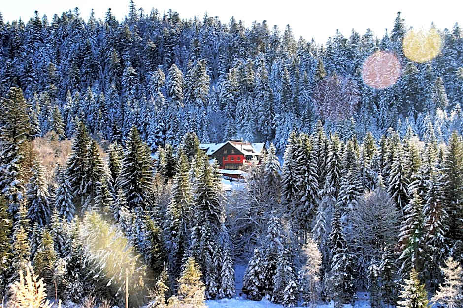 Hôtel Restaurant Spa Les Jardins De Sophie