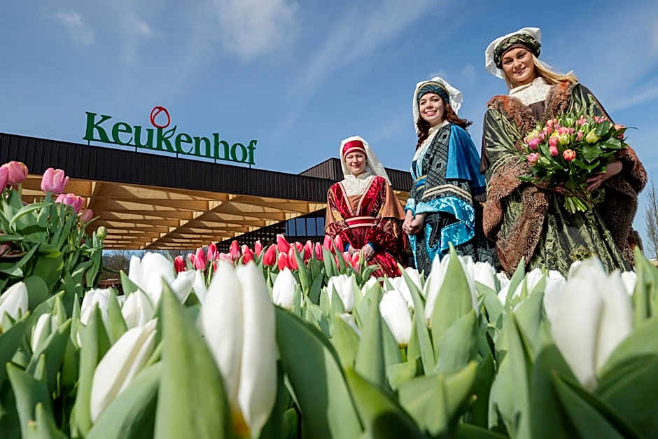 ibis Styles Haarlem City