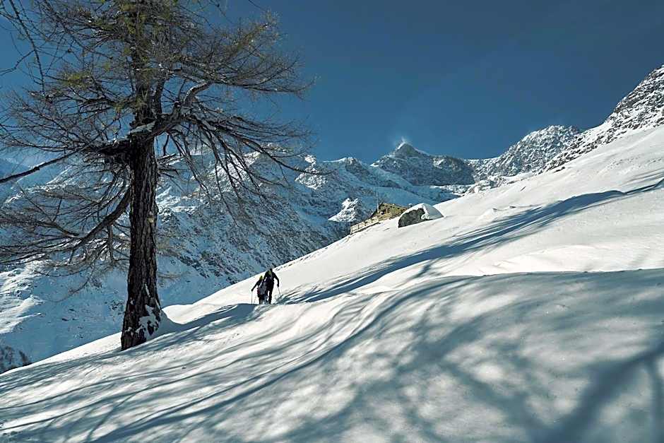 Hotel Marmotte