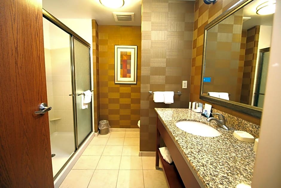 Hampton Inn Detroit/Auburn Hills-North
